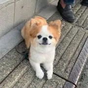 きみ