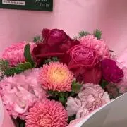 よっぴーGOGOの画像