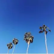 らじゅの画像