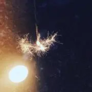 うぃの画像