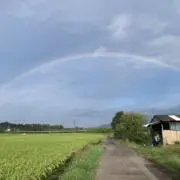 むーの画像