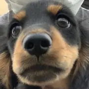 じょの ´～｀*