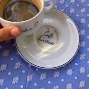 ネコ2世