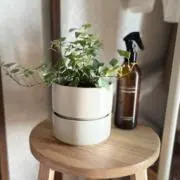 poteの画像