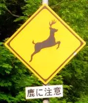 はじめおんじ☆の画像