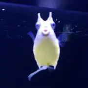 ちぃ   ★プロフご確認ください★