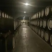 ツマミ