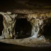 AOの画像
