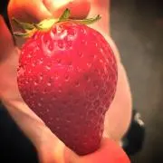 いちごの画像