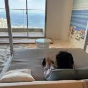 もこもこの画像
