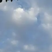 h.m