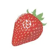いちごちゃんの画像