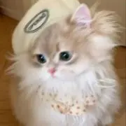 Image of りっちゃん