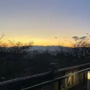 がははの画像