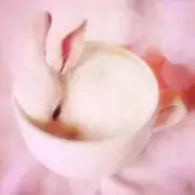 いちぴ