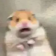 まの画像