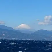 たむ
