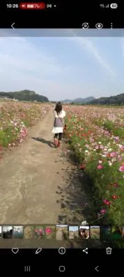 なごみの画像
