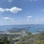 meiの画像