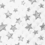 ヒラの画像