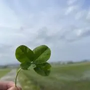 cocogugu