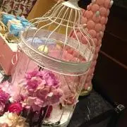 にゃんの画像