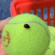 じゅどさんの画像