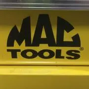 M works