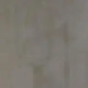 Inconnuの画像