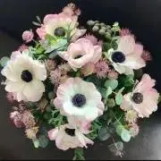 coco123の画像