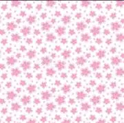A☆プロフ必読の画像