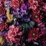 flowerの画像