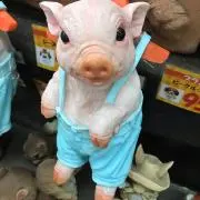 横山の画像