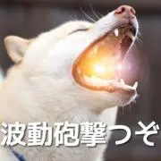 波動砲