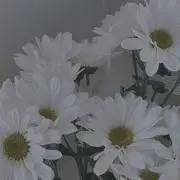うどん ★お値下げ交渉可能フォロー割⭕️の画像
