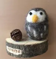 rayrayの画像