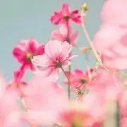 なの画像