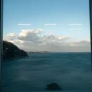 野中の画像