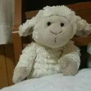 もふぱーるの画像