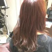 Noaの画像