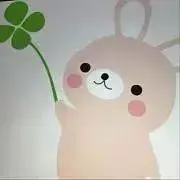 白ウサギの画像