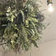 swの画像