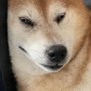 Ꮇᕼ