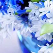 dorryの画像