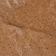 メタモンの画像