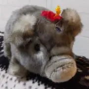 kokoここの助の画像