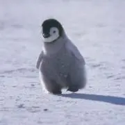 つぼお