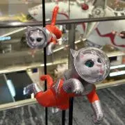 のんきーの画像