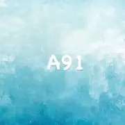 A91の画像