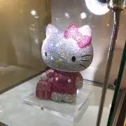 miyoの画像